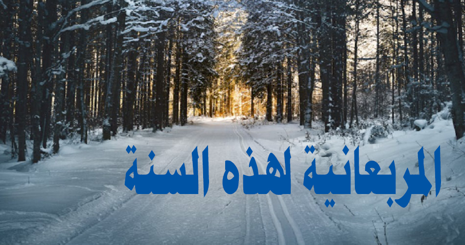 بنر الموقع